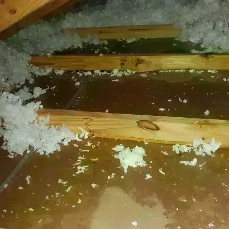 Attic Water Damage in McLeansboro, IL